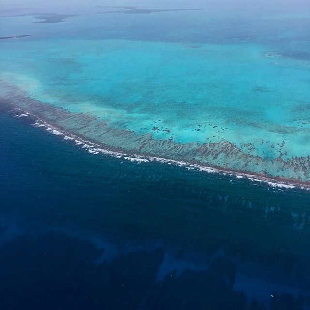 pictures-of-belize-barrier-reef