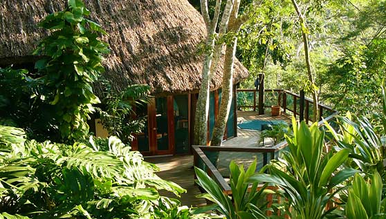 rp_belize-treetop-houses-suites-chaa-creek-luxury-resort-home-accom