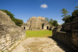 caracol8