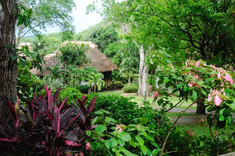 Exterior Orchard Villa