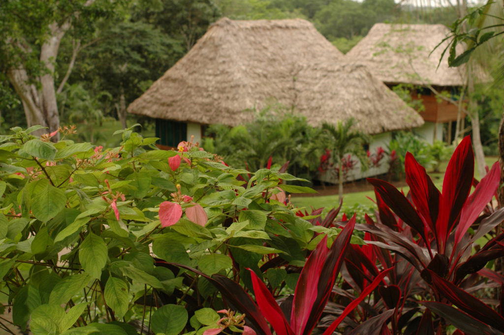 Orchard Villa