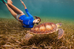 kate-walsh-belize-turtle-oceana