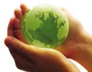 stewards of the earth