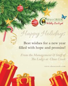 christmascard1