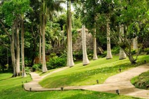 Belize's Chaa Creek Celebrates Third Super Tuesday Vacation Deals in a Row