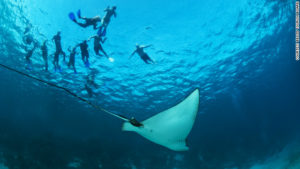 130124153115-belize-must-do-list-dive-the-barrier-reef-horizontal-gallery