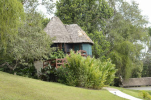 Chaa Creek - March 2013