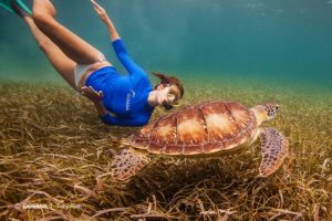 kate-walsh-belize-turtle-oceana