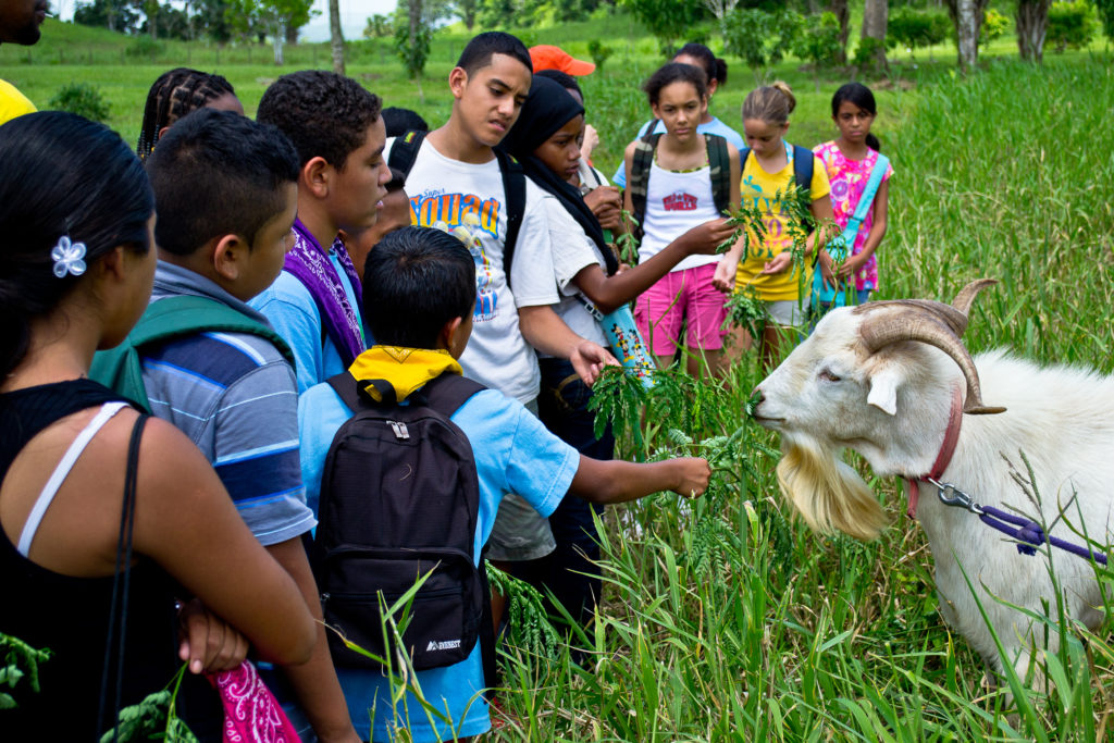 Eco Kids Summer Camp