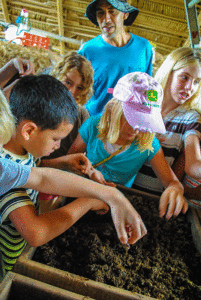Eco Kids Summer Camp 2013
