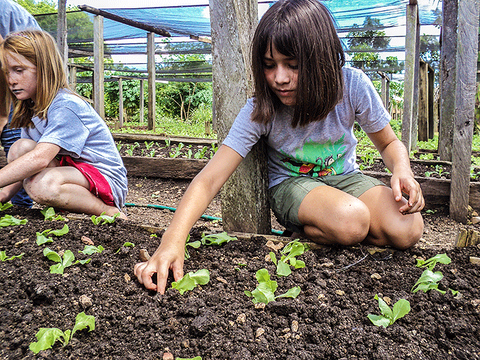 Eco Kids Summer Camp 2013