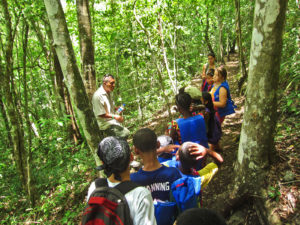 Explaining why the white poisonwood is dangerous