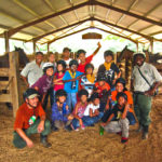 Teams Firefly and Jaguar after the horse ride