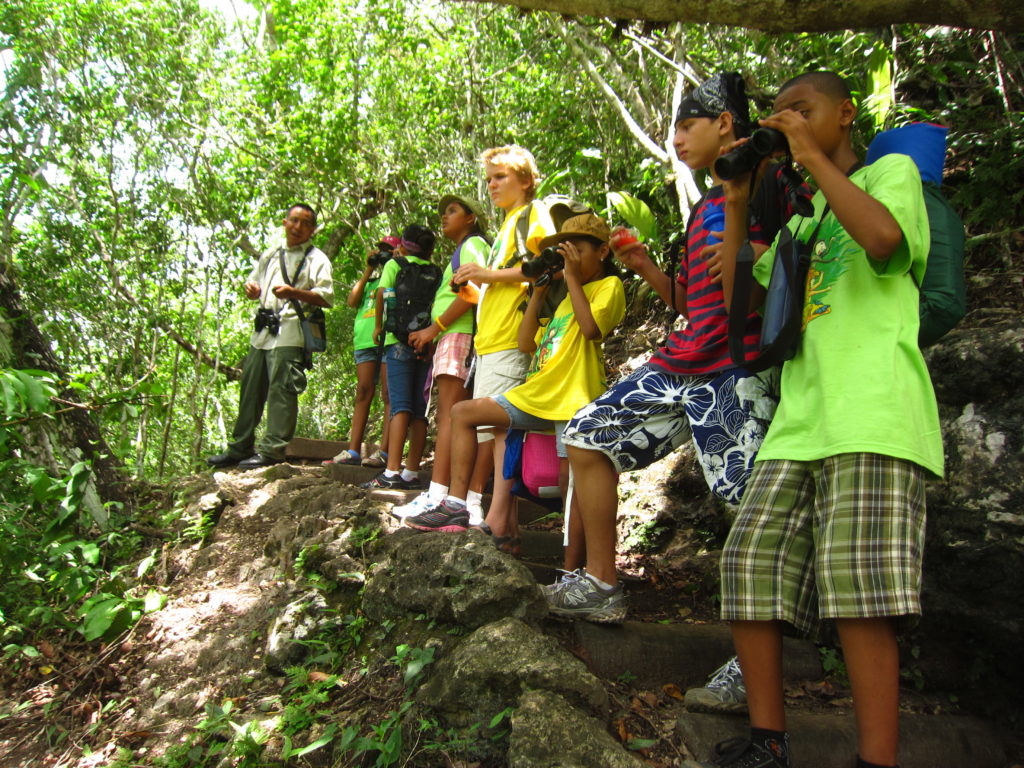 team Blue Monkeys Looking for  a motmot
