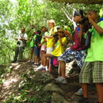 team Blue Monkeys Looking for  a motmot