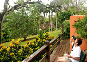 Belize-Ecotourism-Eco-Lodge-Resort-Chaa-Creek
