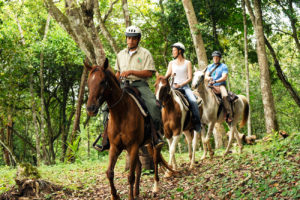 Belize-Horse-back-Riding-Equestrian-Holidays