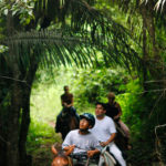 Belize-Horseback-Riding-Jungle-trails