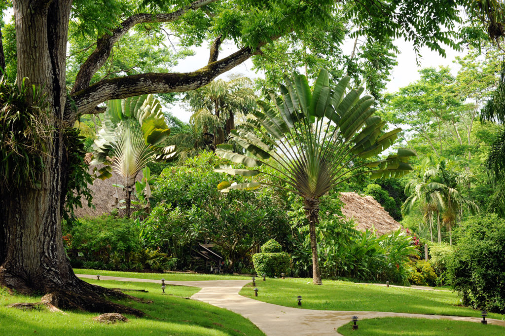 Belize-Eco-Resort-Chaa-Creek