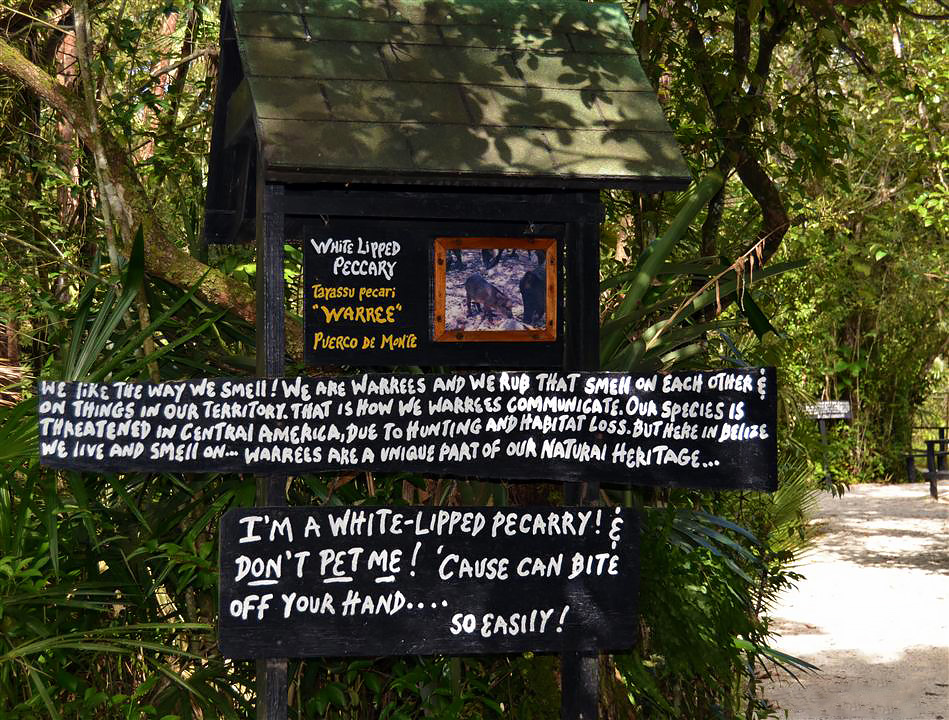 Belize-Zoo-Sign-Warning-Sustainable-Travel