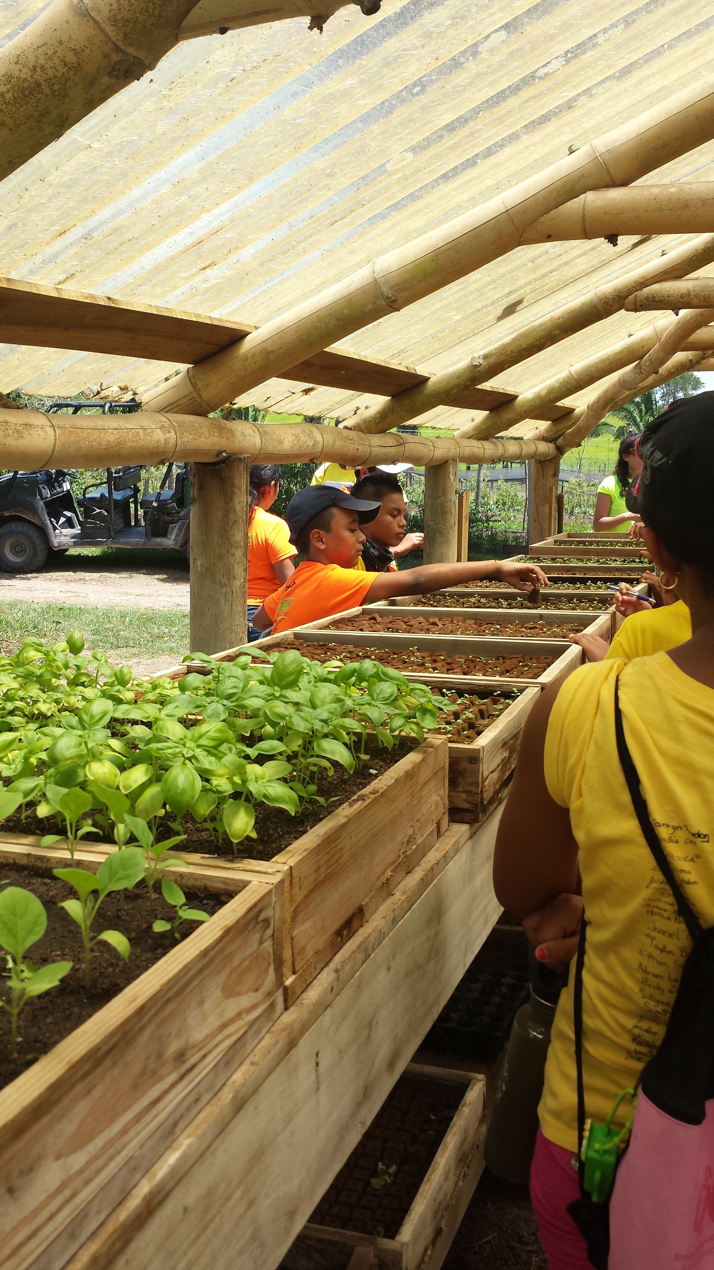 Eco-Kids-at-the-Organic-Farm