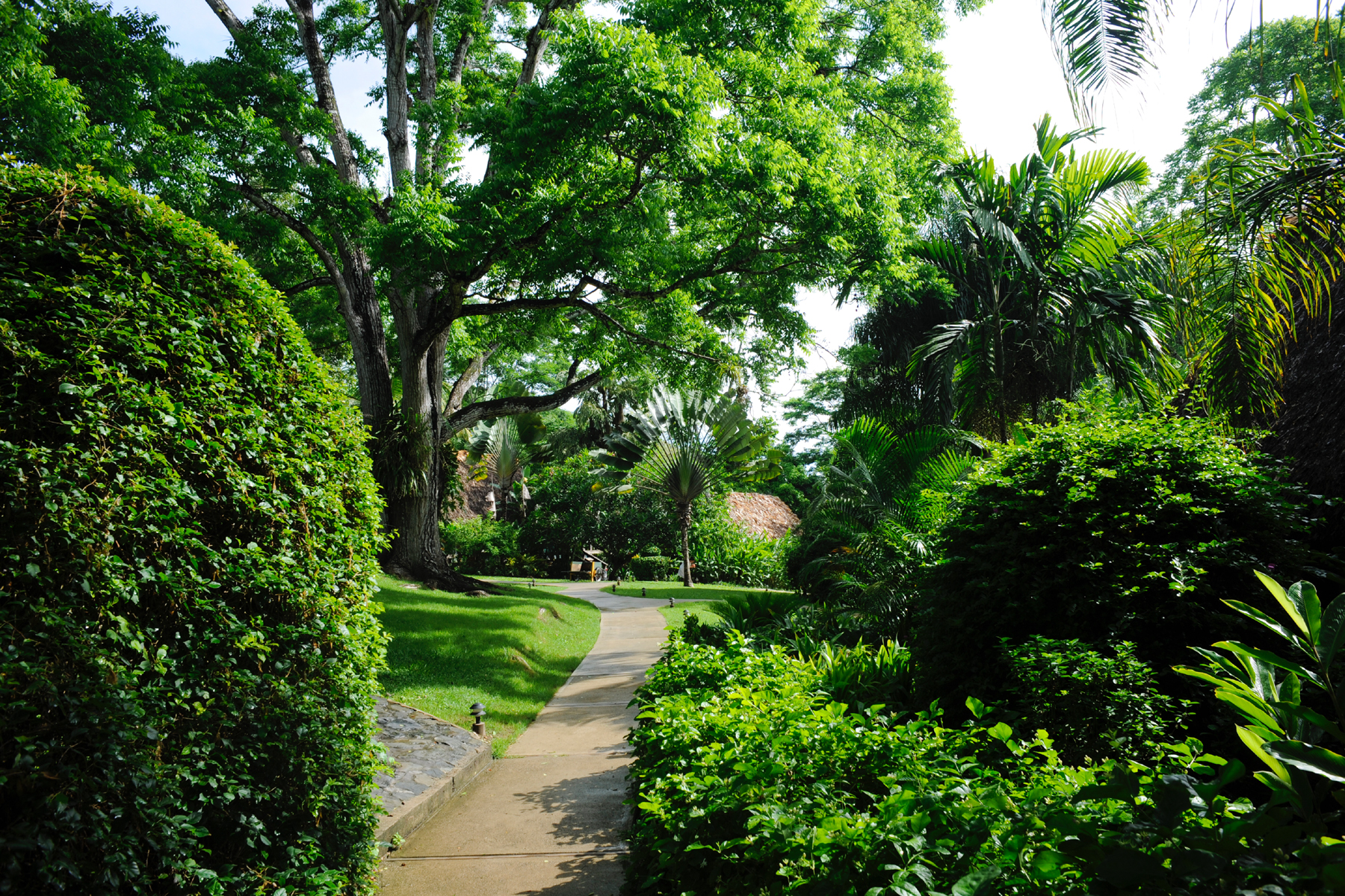 Chaa- Creek-Garden