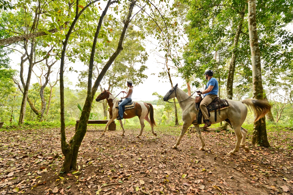 Chaa-Creek-Horseback-riding