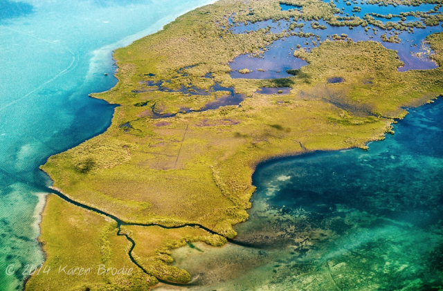 Stunning-Wetlands