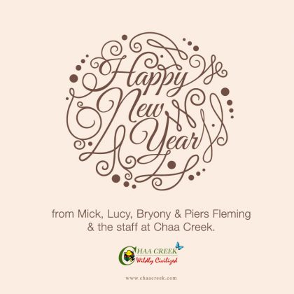 belize-Chaa-Creek-New-years-greetings