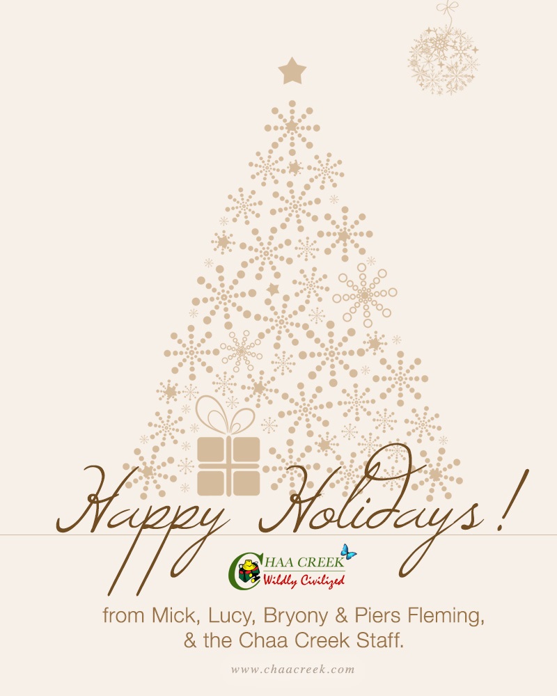 Chaa Creek Belize Happy Holidays 2014
