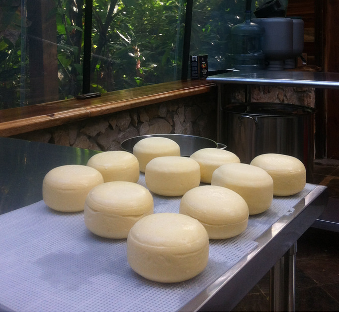 Cheese-Belize
