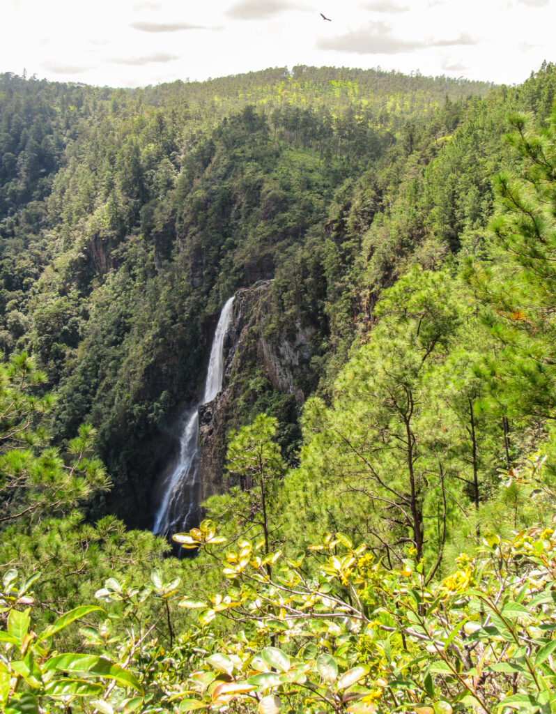 1000 foot falls Belize 