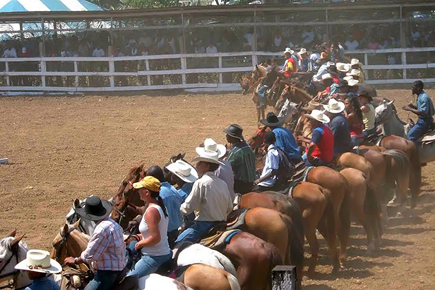 national_agriculture_trade_show_belize