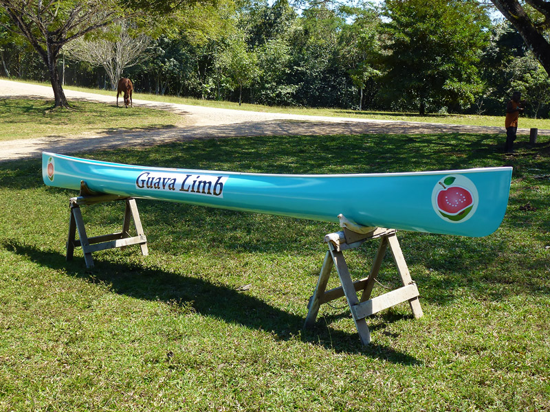 la-ruta-maya-belize-river-challenge-guava-limb-cafe-2