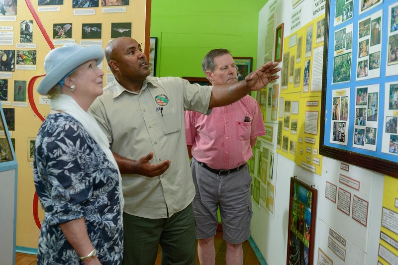Belize-natural-history-center