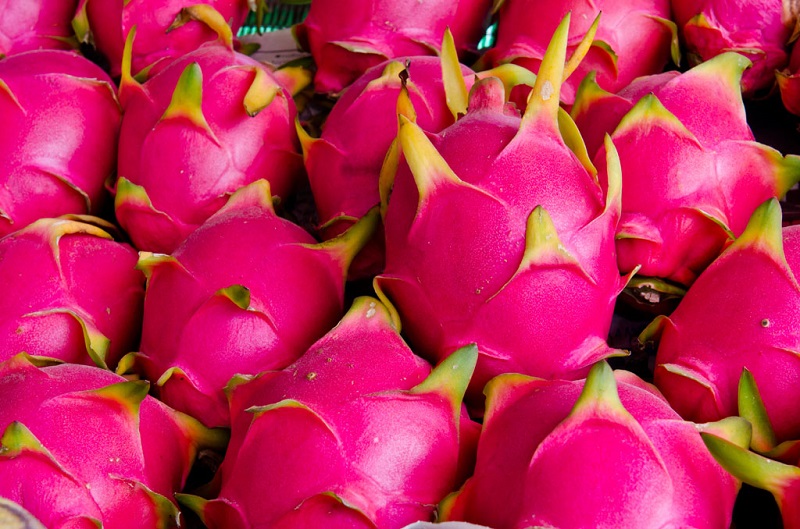 Pitaya,Dragon Fruits
