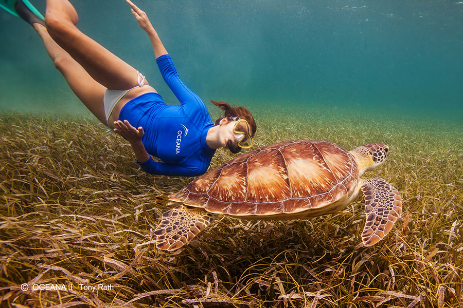 belize-turneffe-atoll