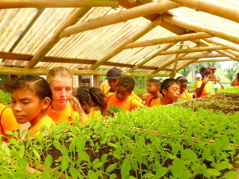 EcoKids2015-Land-conservation-1