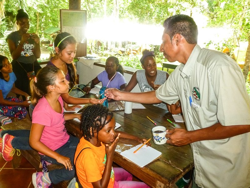EcoKids2015-Medicinal-Plants -1