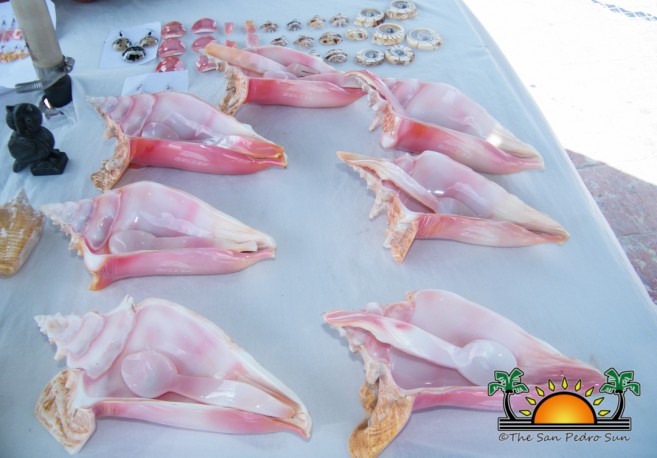 conch-Shell-Souvenirs