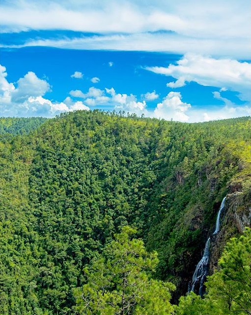belize-mountain-pine-ridge