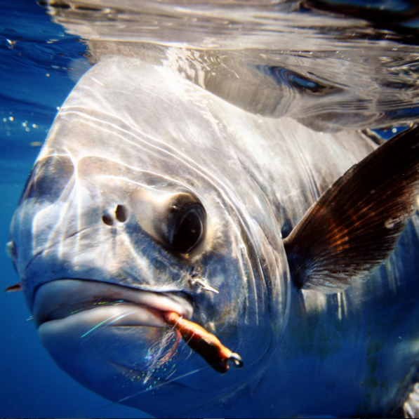 pictures-of-belize-flyfishing