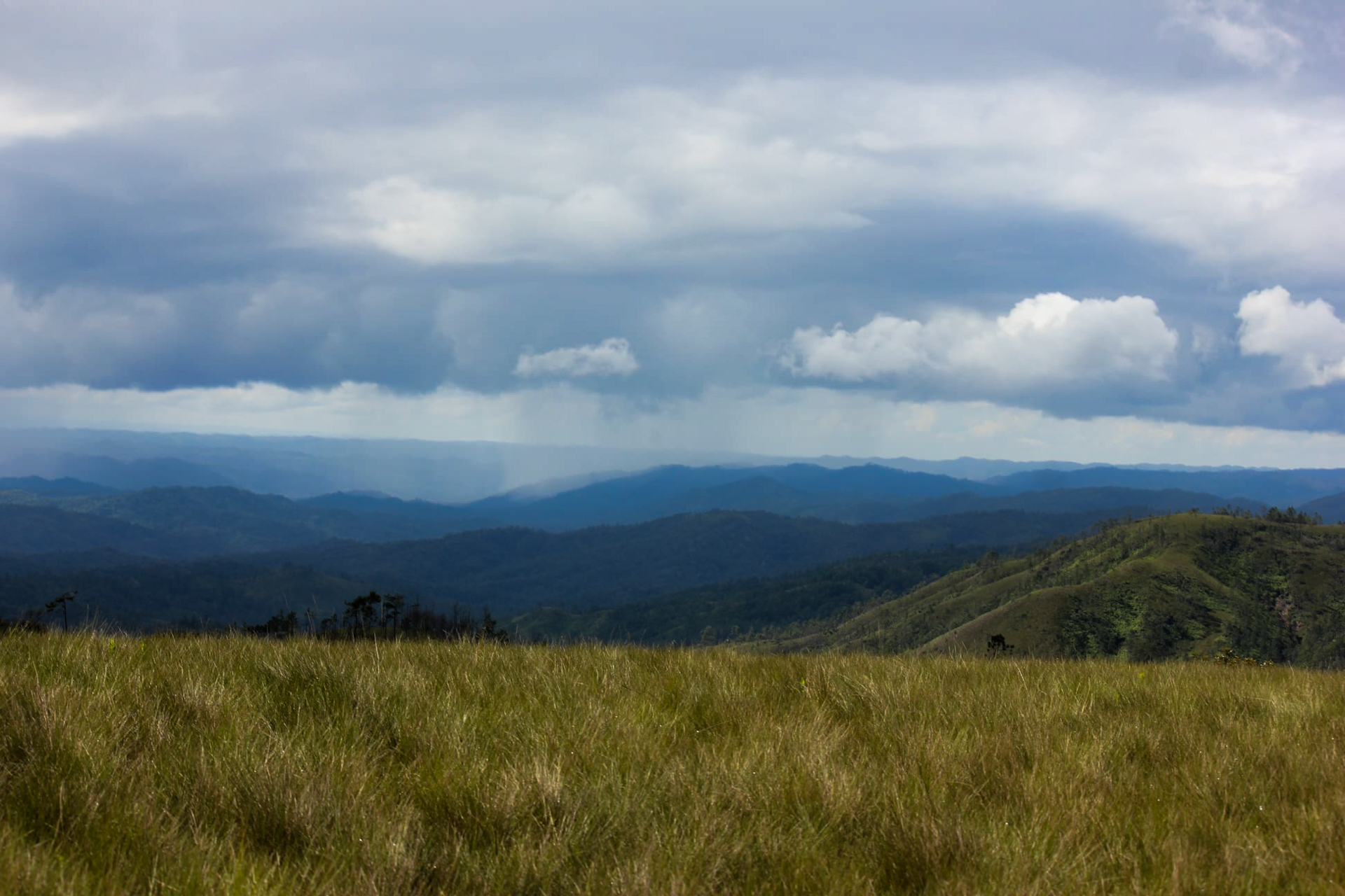 Belize Baldy Beacon 