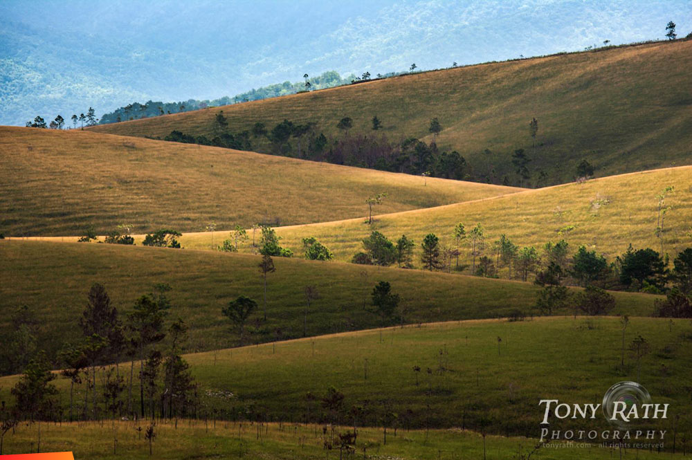 chaa-creek-pine-ridge-baldy-beacon