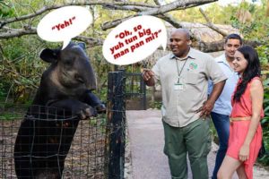 belizean_language_differences_english_kriol_thumb