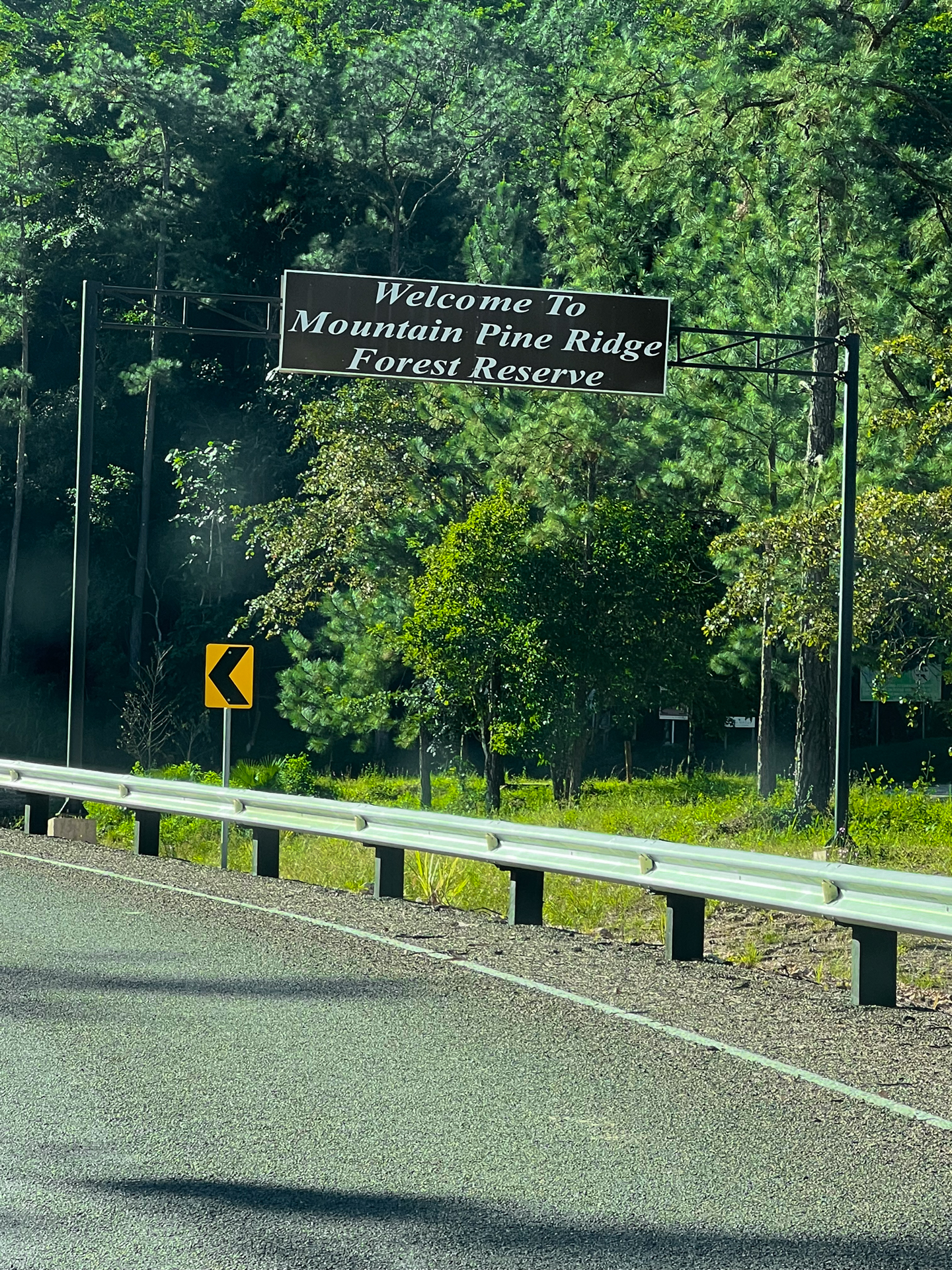 Belize Mountain Pine Ridge 