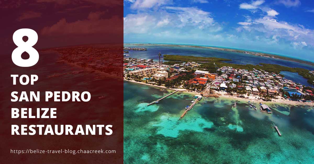 San Pedro Belize Restaurants Top 8 You Should Try 2019