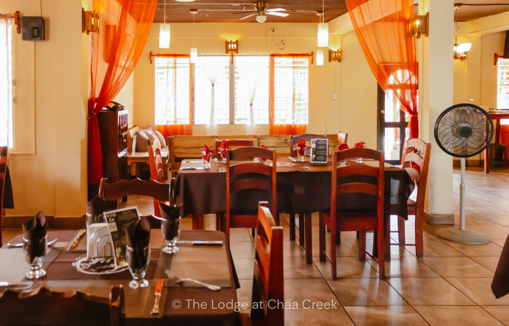 erva's restaurant san ignacio belize interior seating for dining