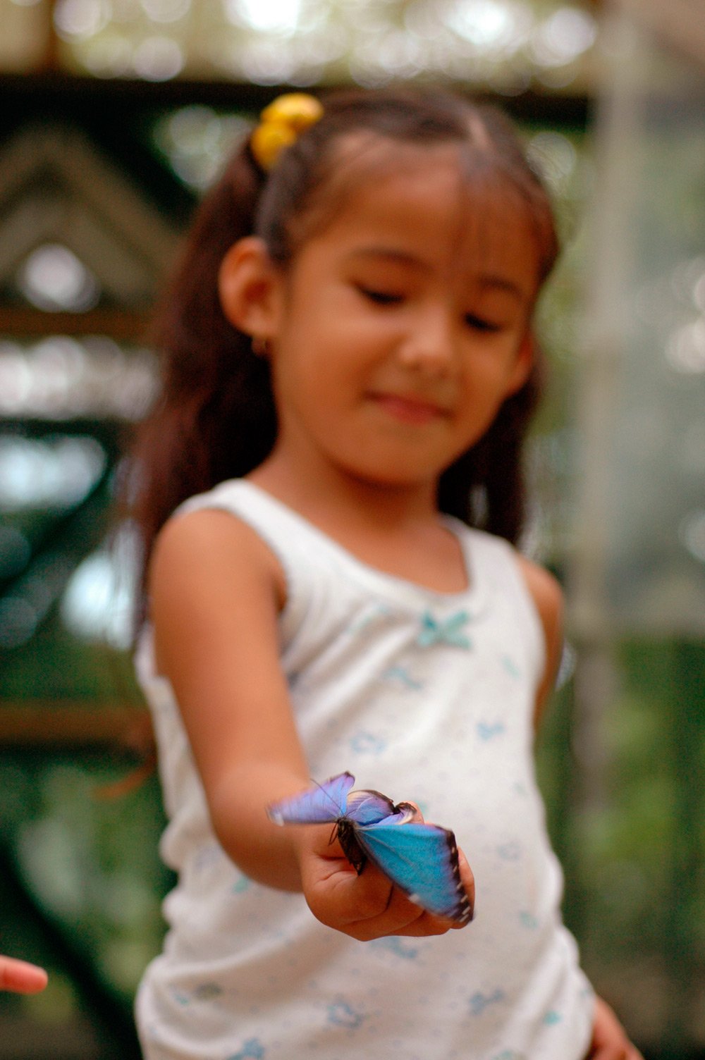 Belize-with-kids-activities-chaa-creek-2016-10