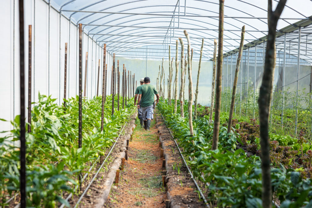 Chaa Creek Maya Farm 